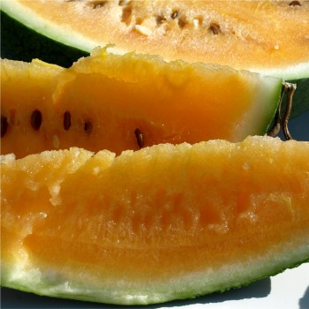 Wassermelone Sweet Siberian (Samen)