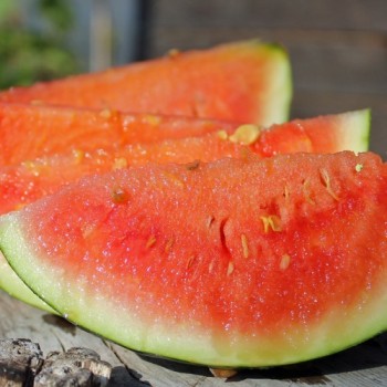 Wassermelone Wilson's Sweet (Samen)