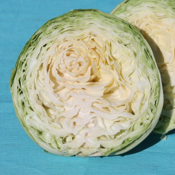 Weißkohl Copenhagen (Samen)