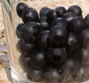 Wonderberry (Samen)