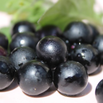 Wonderberry (Samen)