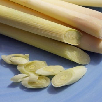Zitronengras (Pflanze)