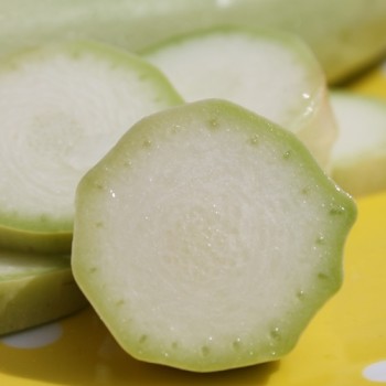 Zucchini Bianco di Sicilia (Samen)