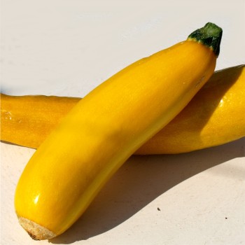 Zucchini Golden (Samen)