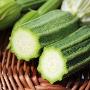 Zucchini Lungo Fiorentino (Samen)