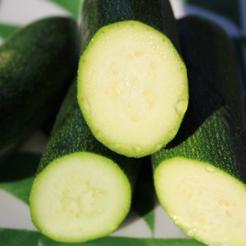 Zucchini Zuboda (Samen)
