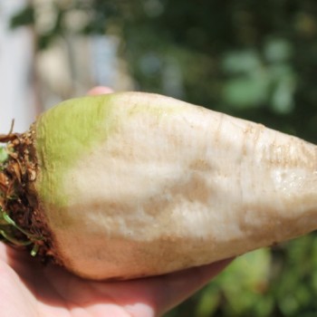 - Kopie - Kopie - Kopie - Kopie