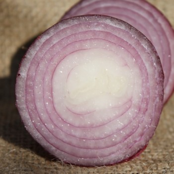 Zwiebel Rossa Piatta d’Italia (Samen)