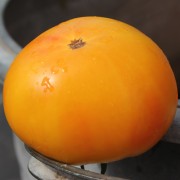 Tomate Sunshine Flame (Samen)