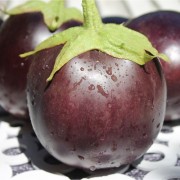 Aubergine Hallasan Jeju (Samen)