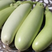 Aubergine Louisiana Long Green (Samen)