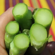 Chinesischer Stängelkohl Long and Thick (Samen)