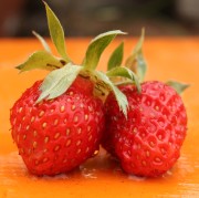 Erdbeere Edouard Leford (Pflanze)