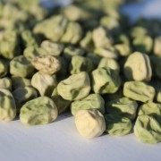 Palerbse Wonder van Scheemda (Samen)