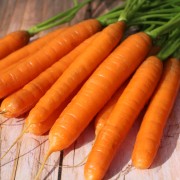 Deaflora - Möhren Karotten