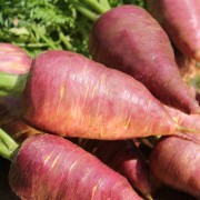 Deaflora - Möhren Karotten