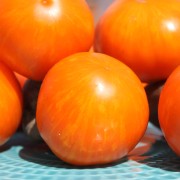 Tomate AAA Sweet Solano (Samen)