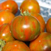 Tomaten Tiger Mittlere Guter Geschmack 50 Saatgut Seeds