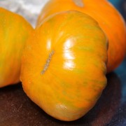 Tomate Babylons Glow (Buschtomate) (Samen)