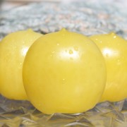 Neu! Tomate Bendigo Moon (Buschtomate) (Samen)