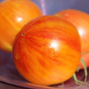 Tomate Bleeding Heart (Samen)