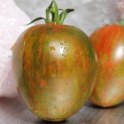 dunkle 30 Samen verschiedene Party Mini- Mix Tomaten...gelb orange rot