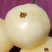 Tomate Duggin White (Samen)