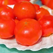 Tomate Florida Petit Microdwarf (Zwergtomate) (Samen)