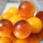 Tomate Fruity (Samen)