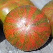 Tomate Green Copia (Samen)