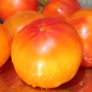 Tomate Hillbilly (Samen)