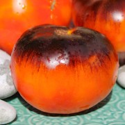 Tomate Lucid Gem (Samen)