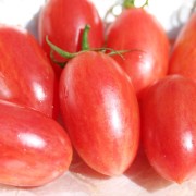 Tomate Maglia Rosa (Buschtomate) (Samen)