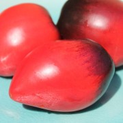 Tomate Pascal de Picardie (Samen)