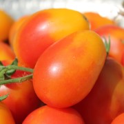 Tomate Piedmont (Samen)