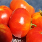 Tomate Rainbow Cherry (Samen)