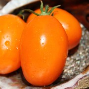 Tomate Ray (Buschtomate) (Samen)