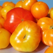 Tomate Rumi Banjan (Samen)