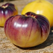 Tomate Sart Roloise (Samen)