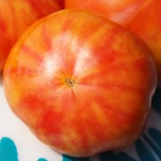 Tomate Starburst Nebula (Buschtomate) (Samen)