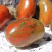 Tomate Sweet Tooth (Samen)