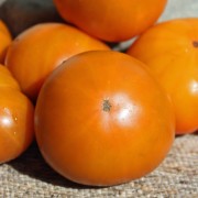 Neu! Tomate Uluru Ochre (Buschtomate) (Samen)