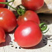 Neu! Tomate Violet Heart Cherry (Samen)