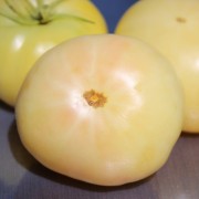 Tomate White Beauty (Samen)