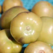 Tomatillo Toma Verde