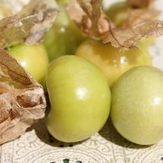 Tomatillo Zuni (Samen)
