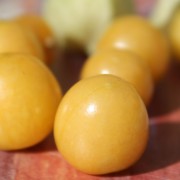 Ananaskirsche Izumii  (Samen)