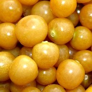 Ananaskirsche Aunt Molly