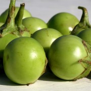 Aubergine Applegreen