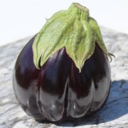 Aubergine Black Beauty (Samen)
